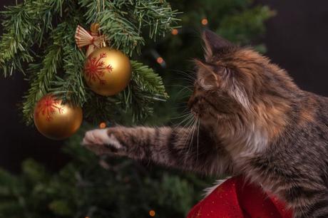 Cómo decorar el árbol de Navidad