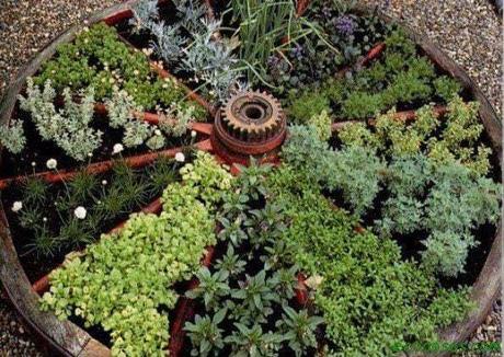 10 + 1 formas de preservar tus hierbas aromáticas y plantas medicinales como secar plantas