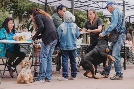 Vive la primera Feria Mestizos Providencia este sábado 7 de diciembre