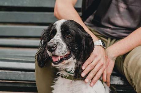 Vive la primera Feria Mestizos Providencia este sábado 7 de diciembre