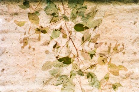 Sacerdotes de lo invisible