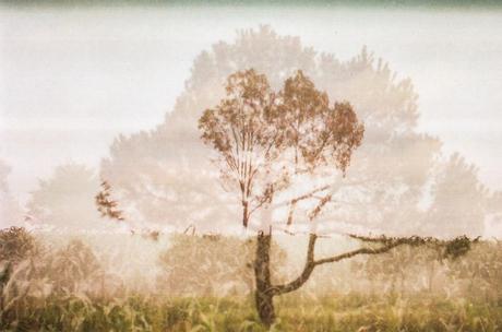 Sacerdotes de lo invisible