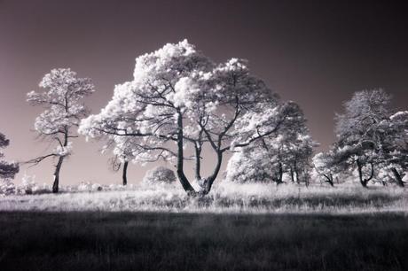 Sacerdotes de lo invisible