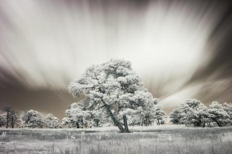 Sacerdotes de lo invisible