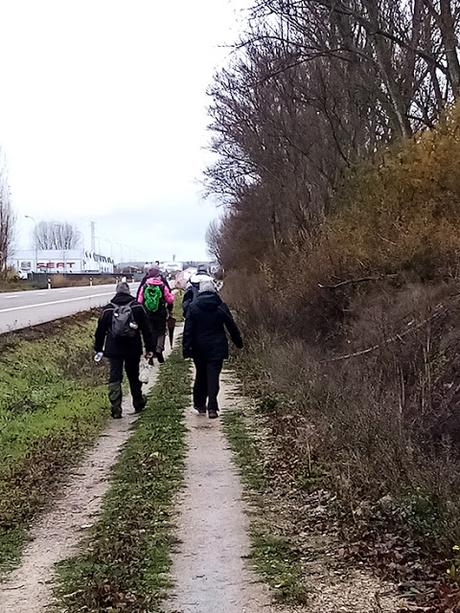 Sembrando El Camino de Santiago, décima edición. Villadangos del Páramo a Puente de Órbigo.