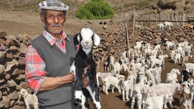 Un criancero de ley que sigue una tradición ancestral en el norte Un criancero de ley que sigue una tradición ancestral en el norte