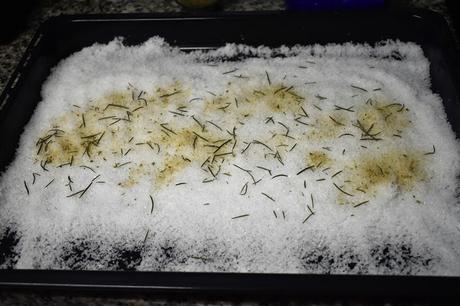 Dorada salvaje a la sal y romero