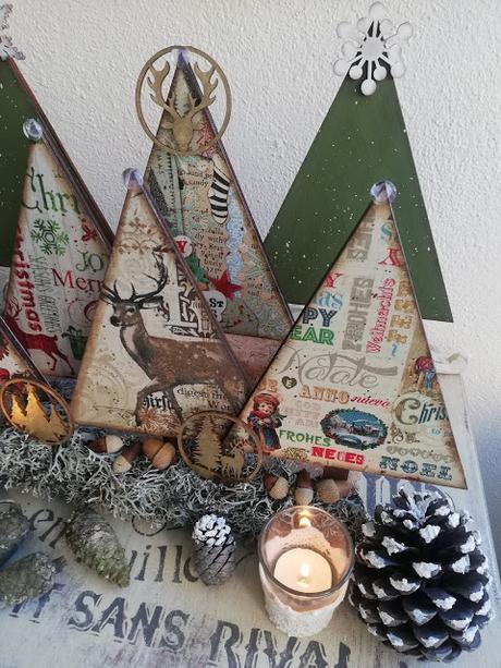 Mi particular bosque de abetos