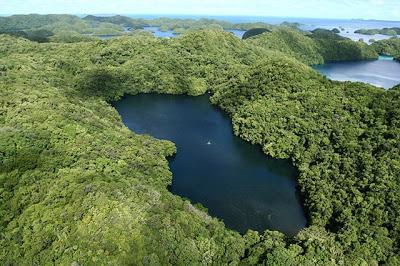 El lago de las medusas El lago de las medusas