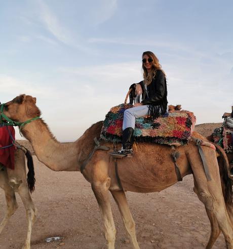 Que ver en Marrakech: Cena y espectáculo en el desierto Que ver en Marrakech: Cena y espectáculo en el desierto