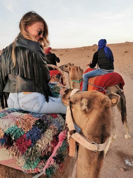 Que ver en Marrakech: Cena y espectáculo en el desierto