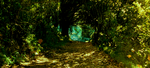 Reseña: Despertares (La senda de Silvan I) - Ángel Pablo Gallego Moya