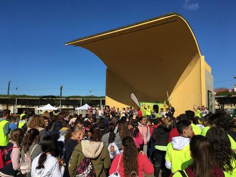 IV ENCUENTRO DE ENTIDADES POR LA DIVERSIDAD FUNCIONAL IV ENCUENTRO DE ENTIDADES POR LA DIVERSIDAD FUNCIONAL