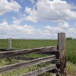 Numpy básico: como invertir arrays de Numpy