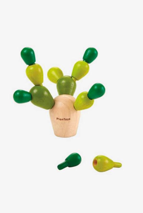 Mini- Cactus en equilibrio