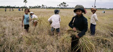 Derechos Humanos: derechos fundamentales e inalienables, pero no garantizados