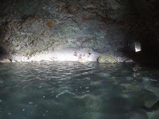 Vamos a la Cueva de los Animales-Planta!!!