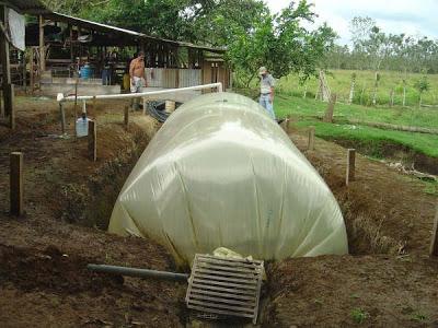 biodigestor