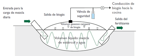 Biodigestor qué es y cómo hacer uno casero