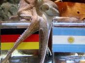 ¿Por famoso pulpo Paul?