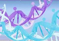 Descubren una Nueva Enfermedad Autoinmune en Humanos