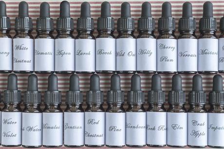 Tratamiento Psicológico y Flores de Bach Tratamiento Psicológico y Flores de Bach