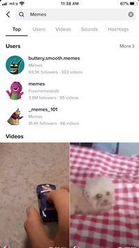 Los mejores Memes de TikTok