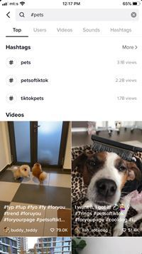 Los mejores Memes de TikTok