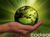 Codisoil presenta acciones medioambiente
