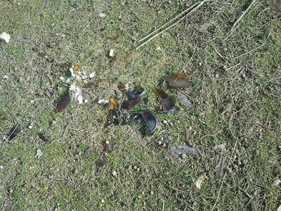 IBI CARO, BARRIO DEL CASTILLO ABANDONADO Y GOTERAS EN CENTRO DE ESPECIALIDADES DE VEREDILLAS.