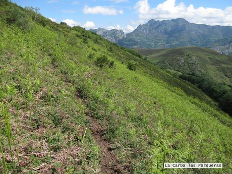 Cuergo/Cuérigo-Valdeberruga-Pozu L.lobos del Monte´l Marinón