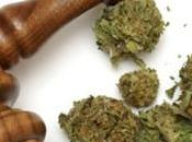 Estudiante UASLP obtiene amparo para consumir marihuana