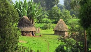 Mirar hacia el futuro sin abandonar a nadie en el camino