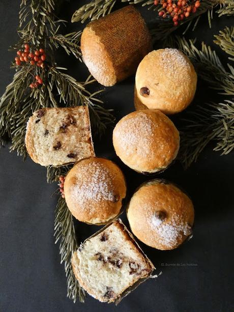 Mini Panettones con pepitas de Chocolate Mini Panettones con pepitas de Chocolate