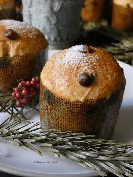 Mini Panettones con pepitas de Chocolate Mini Panettones con pepitas de Chocolate