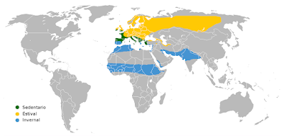Pioyinos por tolos llaos