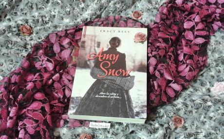Un misterio romántico llamado AMY SNOW