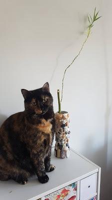 TUTORTIAL JARRON REGALOS DEL MAR TUTORTIAL JARRON REGALOS DEL MAR