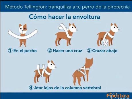 10 IDEAS PARA PROTEGER A TU PERRO DE LA PIROTECNIA EN ESTAS FIESTAS 10 IDEAS PARA PROTEGER A TU PERRO DE LA PIROTECNIA EN ESTAS FIESTAS
