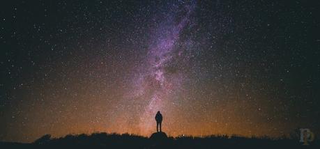 Sin título | Caballo de atar Sin título | Caballo de atar