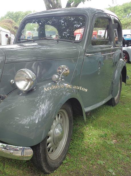 La Preguntita del Domingo 329