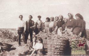 Uva y vino autóctonos de la Sierra Norte de Guadalajara