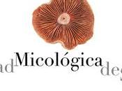 sociedad micológica sigüenza cumple otoños