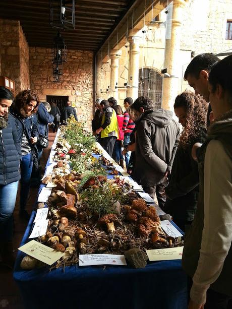 LA SOCIEDAD MICOLÓGICA DE SIGÜENZA CUMPLE 20 OTOÑOS LA SOCIEDAD MICOLÓGICA DE SIGÜENZA CUMPLE 20 OTOÑOS