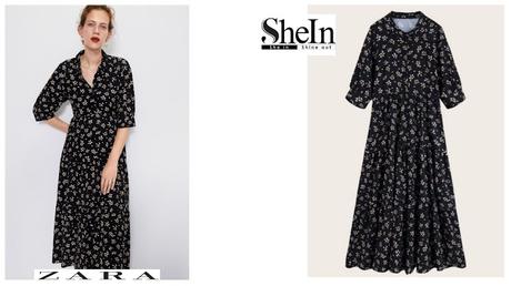 A la busqueda del Clon