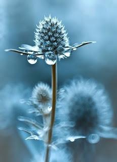 4.018 - NO SUFRAS CORAZÓN...