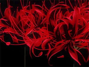 La Lycoris Radiata: 5 Datos curiosos de la flor siniestra con el manga y anime