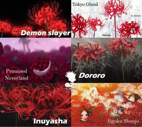La Lycoris Radiata: 5 Datos curiosos de la flor siniestra con el manga y anime - Paperblog La Lycoris Radiata: 5 Datos curiosos de la flor siniestra con el manga y anime - Paperblog