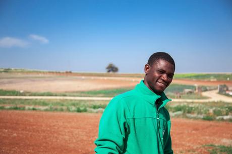 Olivar de Quintos alberga el primer huerto ecológico y de inserción de Sevilla Olivar de Quintos alberga el primer huerto ecológico y de inserción de Sevilla