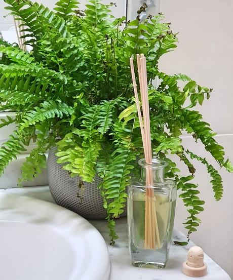 ¿Cómo hacer un mikado casero y sano?